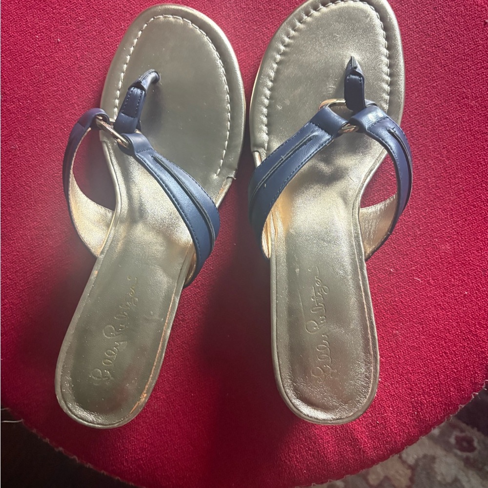 Lilly Pulitzer Blue and Gold Sandals with Metallic Shine